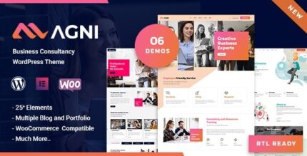 Agni (v1.1.9) Business Consulting WordPress Theme