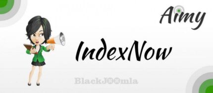 Aimy IndexNow Pro (v9.0)