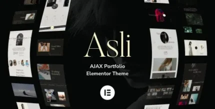 Asli (v1.9.9) AJAX Portfolio Elementor Theme