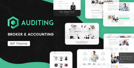 Auditing v3.5 Accounting Consultant, Finance WordPres