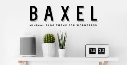Baxel v5.0.11 Minimal Blog Theme for WordPress Theme