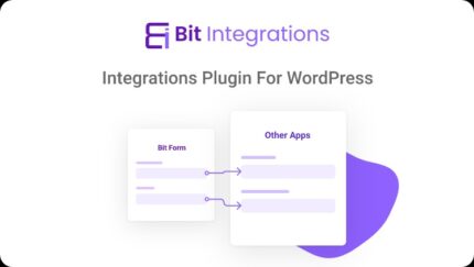 Bit Integrations Pro v2.6.14 [Activated]