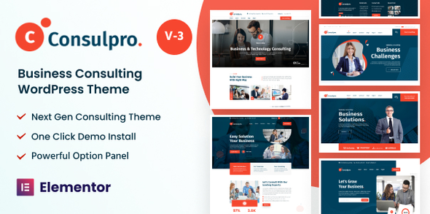 Consulpro (v3.0.1) Finance & Business Consulting