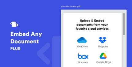 Embed Any Document Plus (v2.8.9)