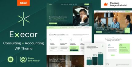 Execor (v19.0) Accounting and Management Consulting