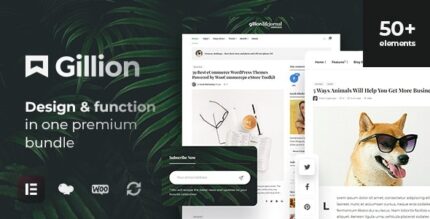 Gillion (v4.14) Multi-Concept Magazine, News, Review WordPress Theme