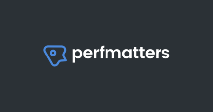 Perfmatters (v2.5.9) Lightweight WordPress Performance Plugin [Activated]