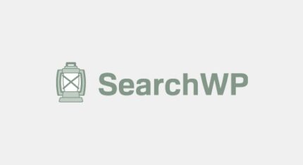 SearchWP v4.5.8 + Addons [Activated]