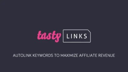 Tasty Links v1.6.1 Automatically link keywords [Activated]