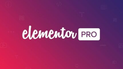 Elementor Pro v3.35.1 [Activated]