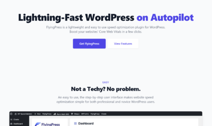 FlyingPress (v5.3.3) Taking WordPress To New Heights (Activated)