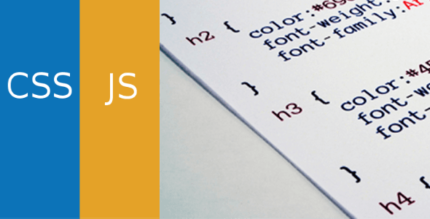 Simple Custom CSS and JS PRO v4.41.1